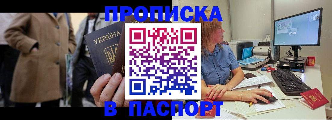 прописка штамп в Тереке